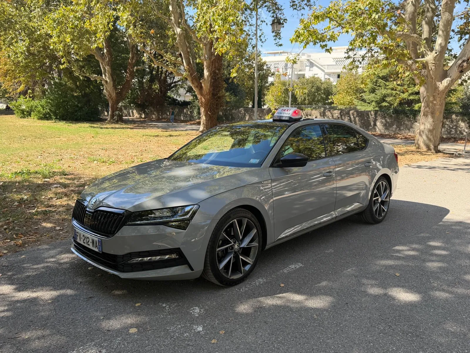 Berline grise de Taxi Christophe avec son lumineux « Taxi », garée sous des platanes